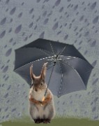 Muokattu
